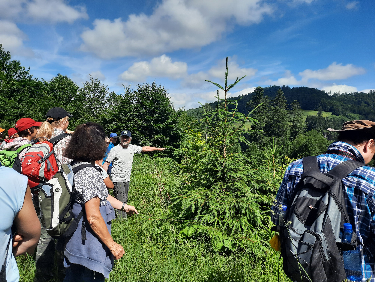 Weitnau erleben 2025 - Das Wanderprogramm